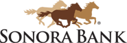 First National Bank of Sonora logo